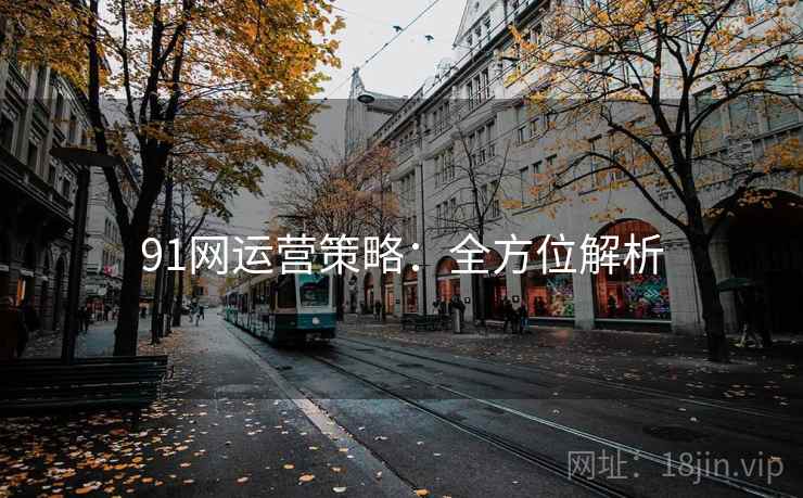 91网运营策略:全方位解析 91网运营策略:全方位解析