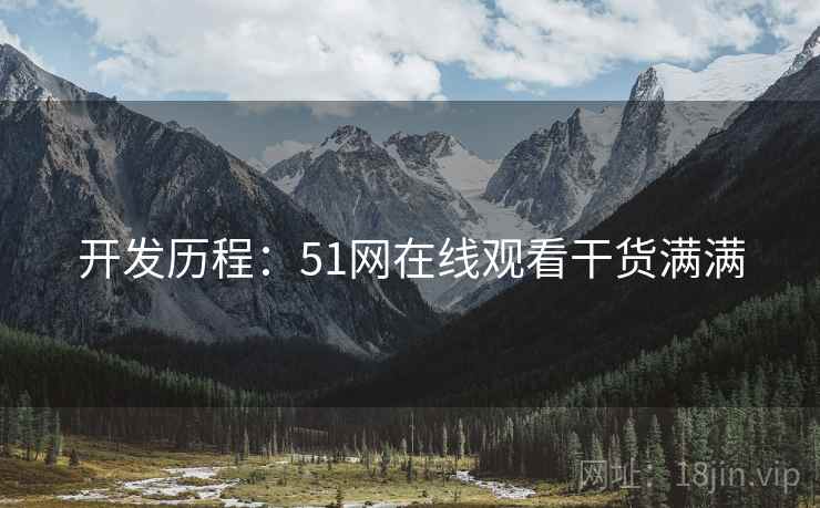 开发历程：51网在线观看干货满满