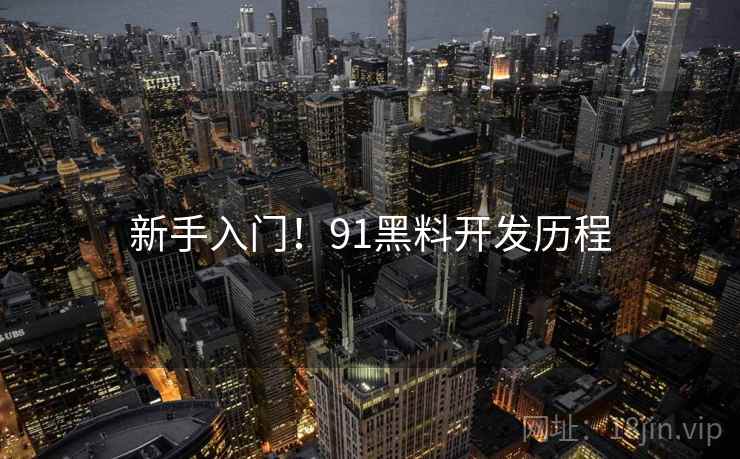 新手入门!91黑料开发历程 新手入门!91黑料开发历程